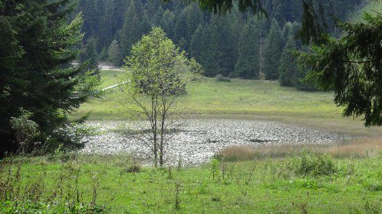 Biotopo Malga Laghetto