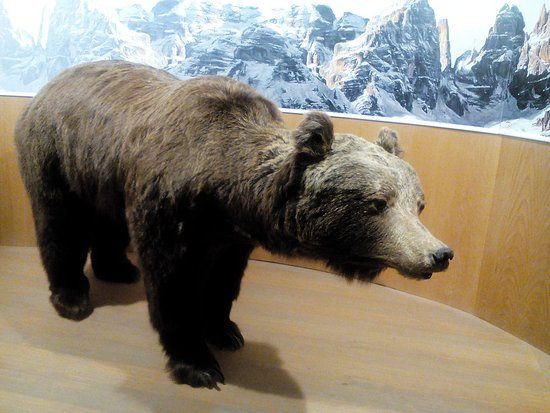 Casa Dell'orso Centro Visitatori