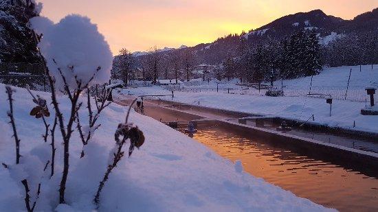 Troticoltura Vinante