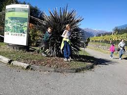 Sentiero Del Castagno