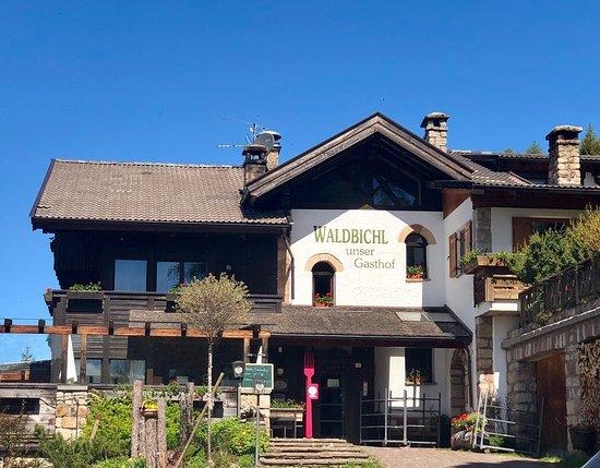 Waldbichl