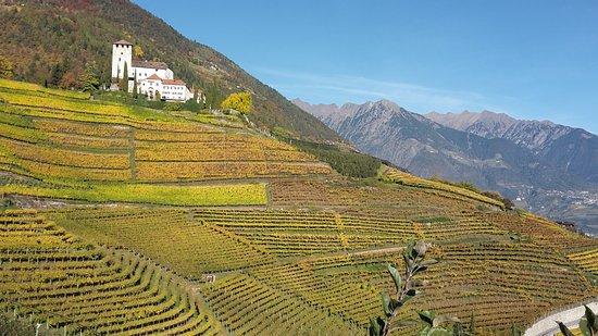 Panorama Grill Enzian