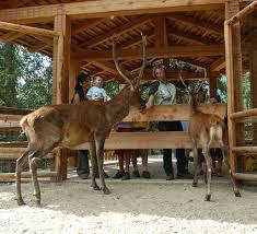 Area Faunistica Peio